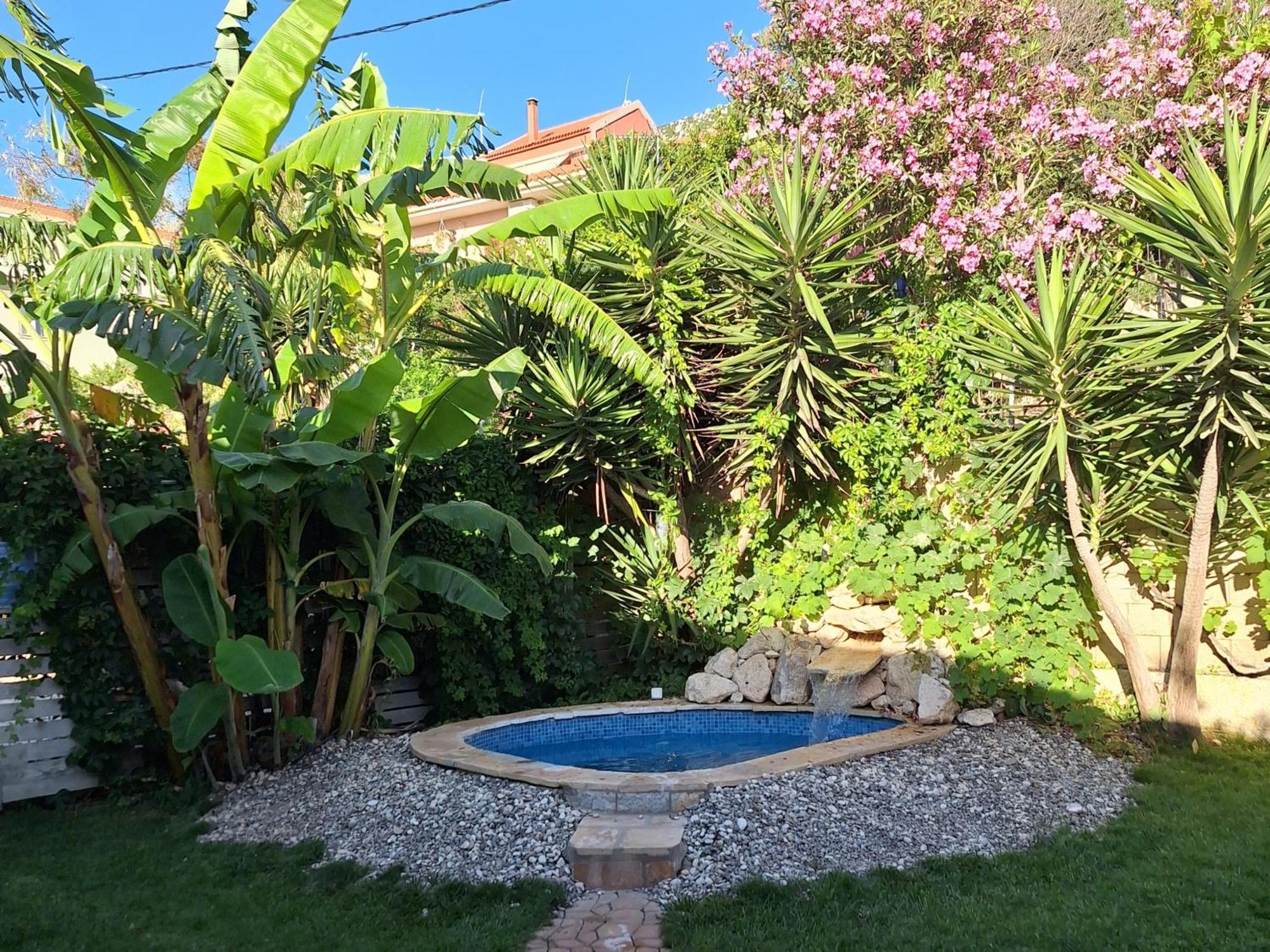 Villa Kontes Kefalonia Kardhakáta المظهر الخارجي الصورة